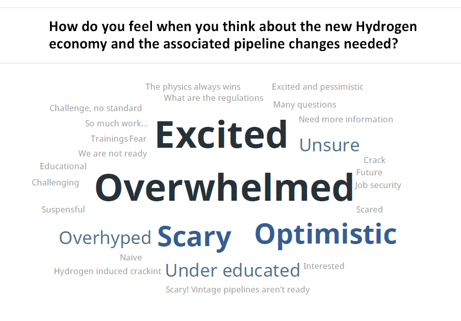 PC2023 Poll Results - Hydrogen Economy Pipeline Changes